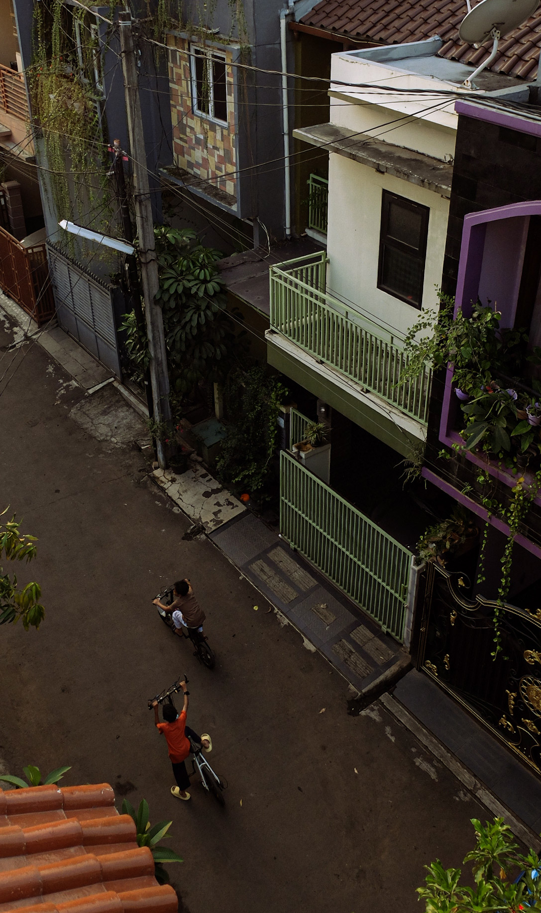 portrait photography